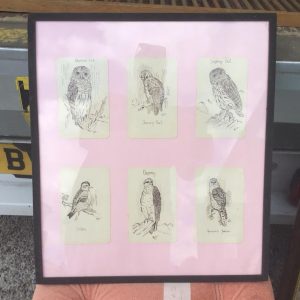 Owls Picture Medium 42cm x 48cm