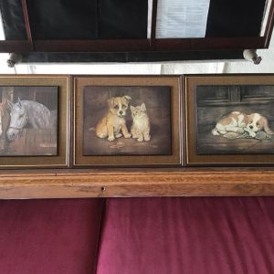 Animal picture Set of 3
