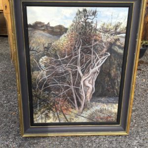 Picture X Large A3+ (297X420mm)