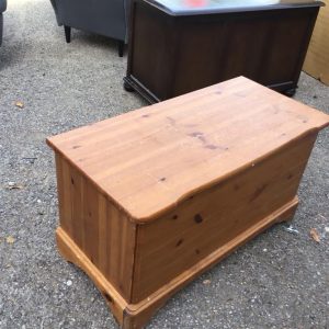 Storage Trunk/Box/Ottoman