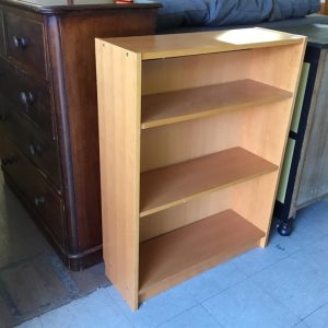 Shelves/Bookcase Large